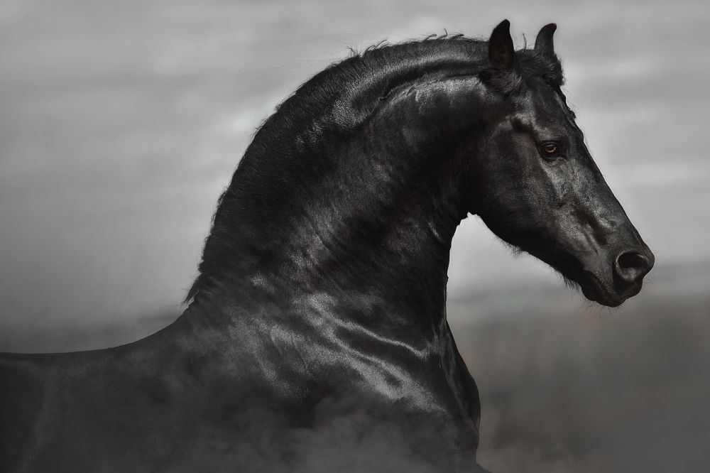 Фотография автора Дарья Ералева