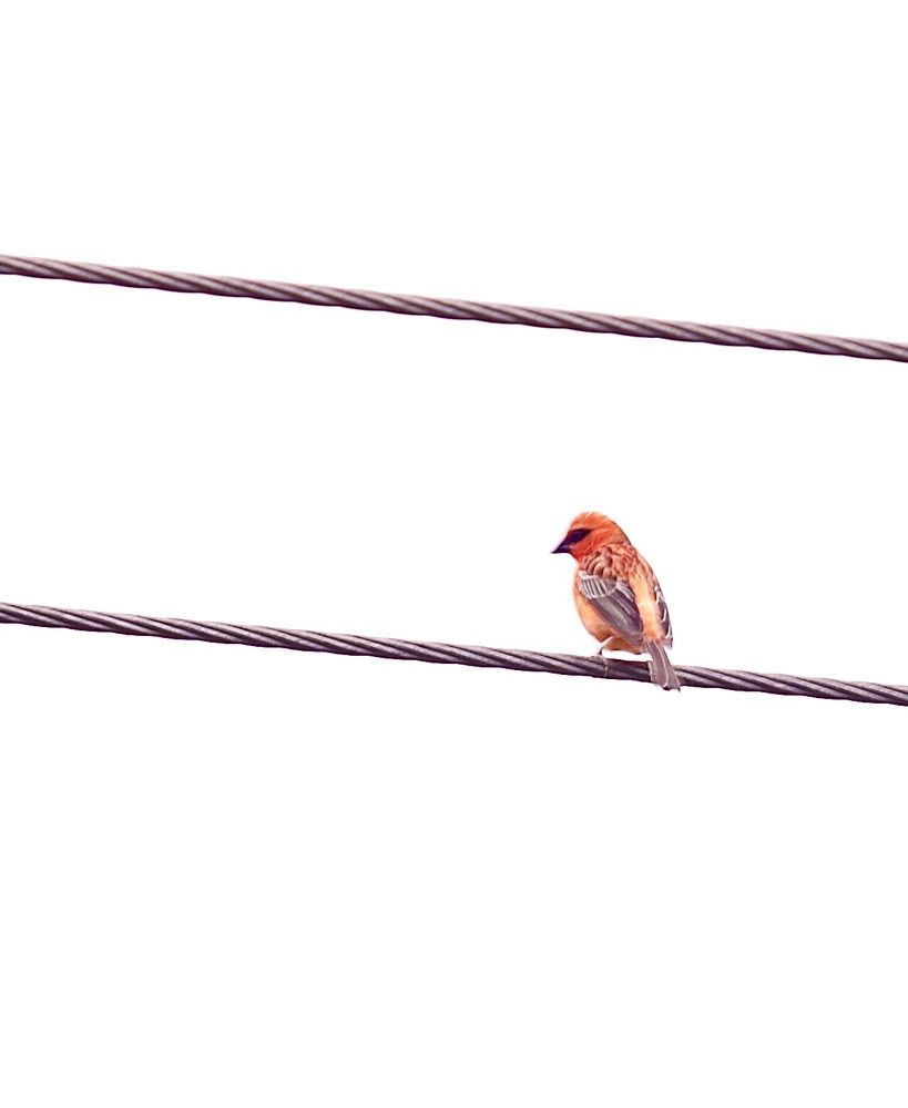 Photograph by Елена Ковалева