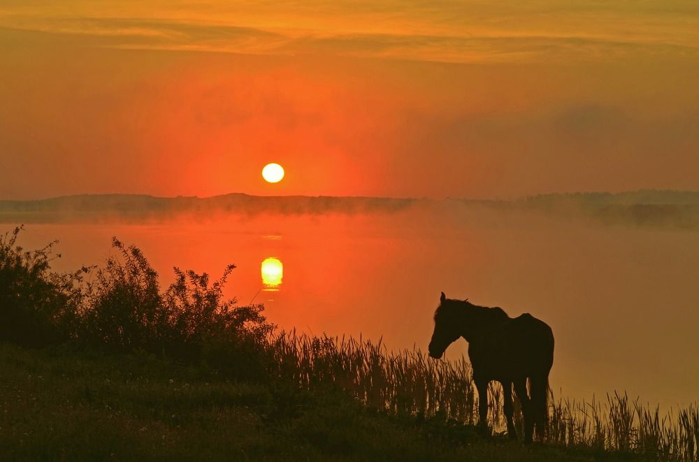 Photograph by Илфир Исламгазин