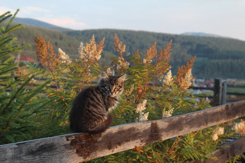 Photograph by Наталья Волкова