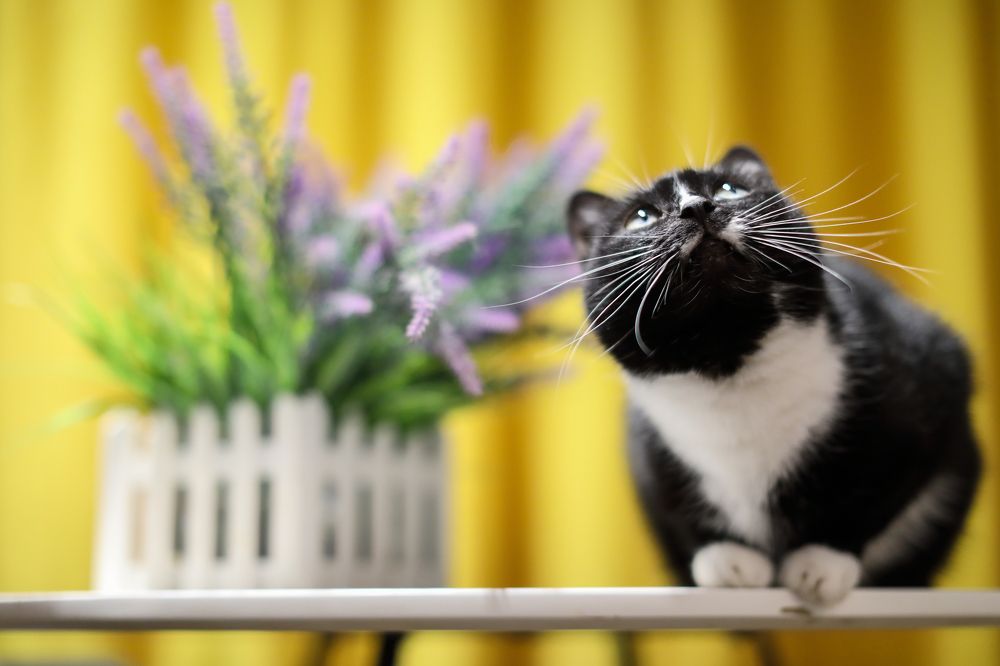 Photograph by Победина Lubov