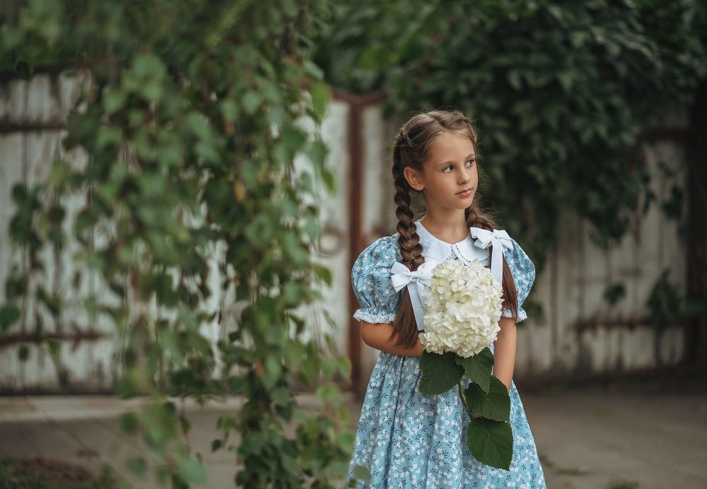 Летний вечер