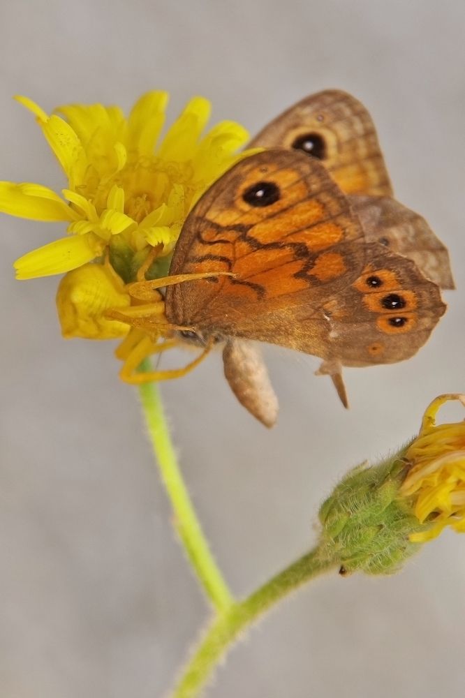 Photograph by Елена Щитова