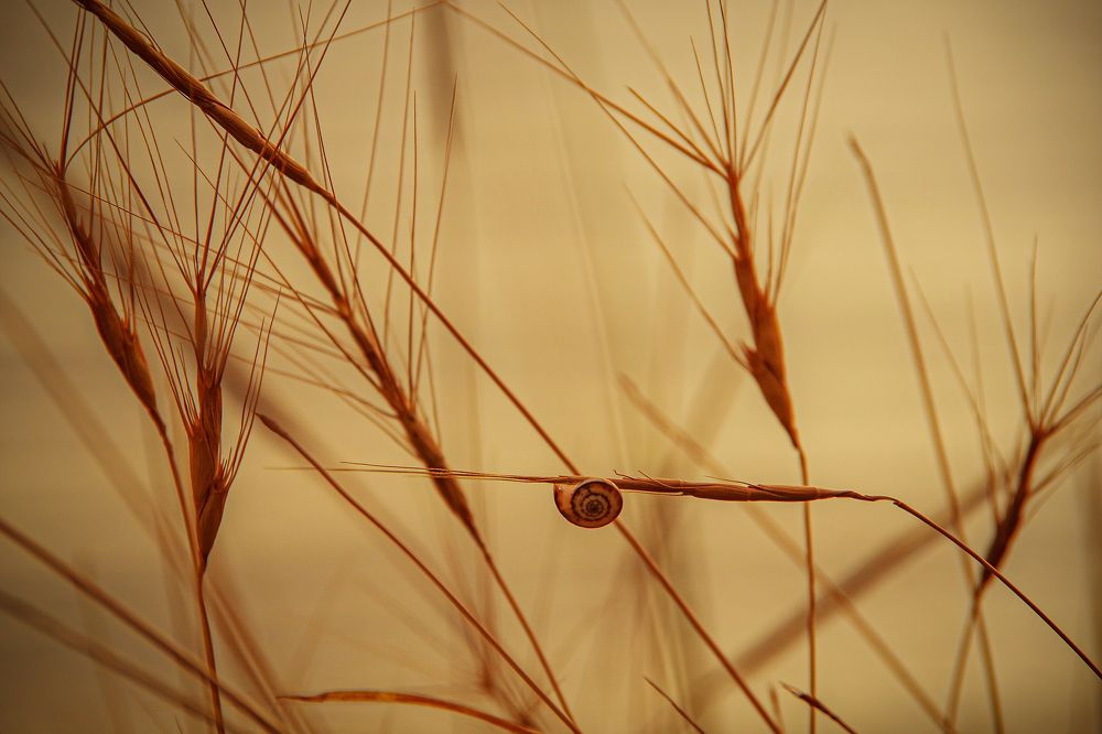 Photograph by Елена Щитова