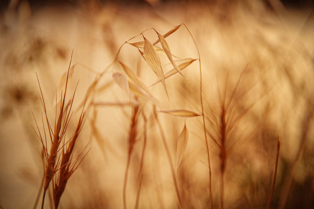 Photograph by Елена Щитова