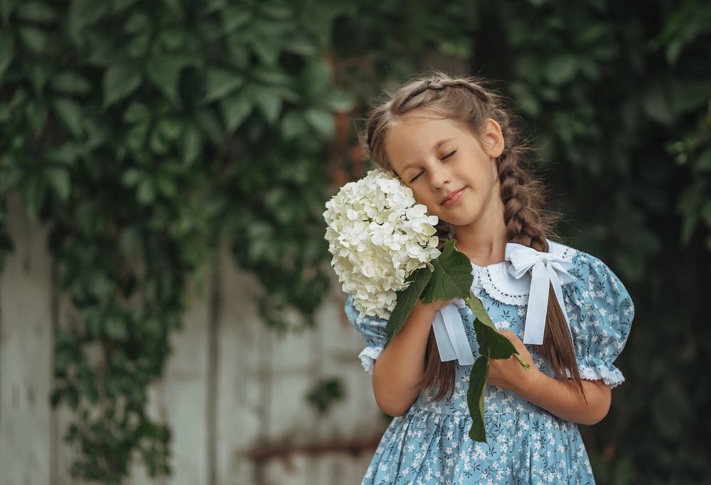 Летний вечер