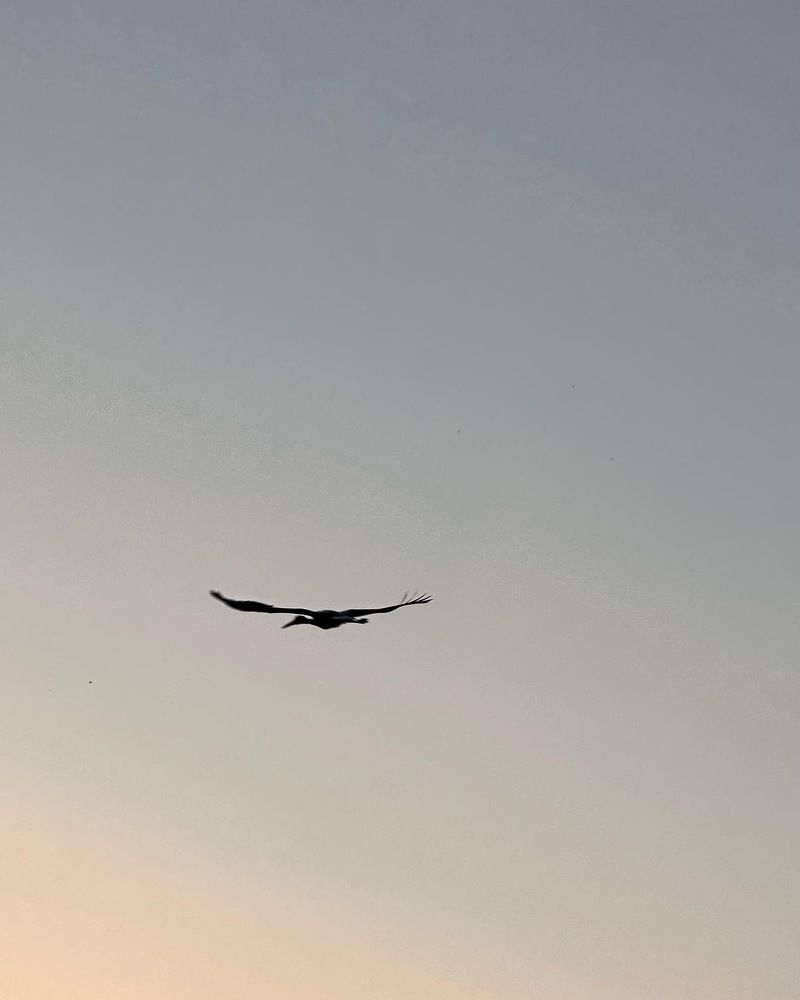 Photograph by Лариса Акинчиц