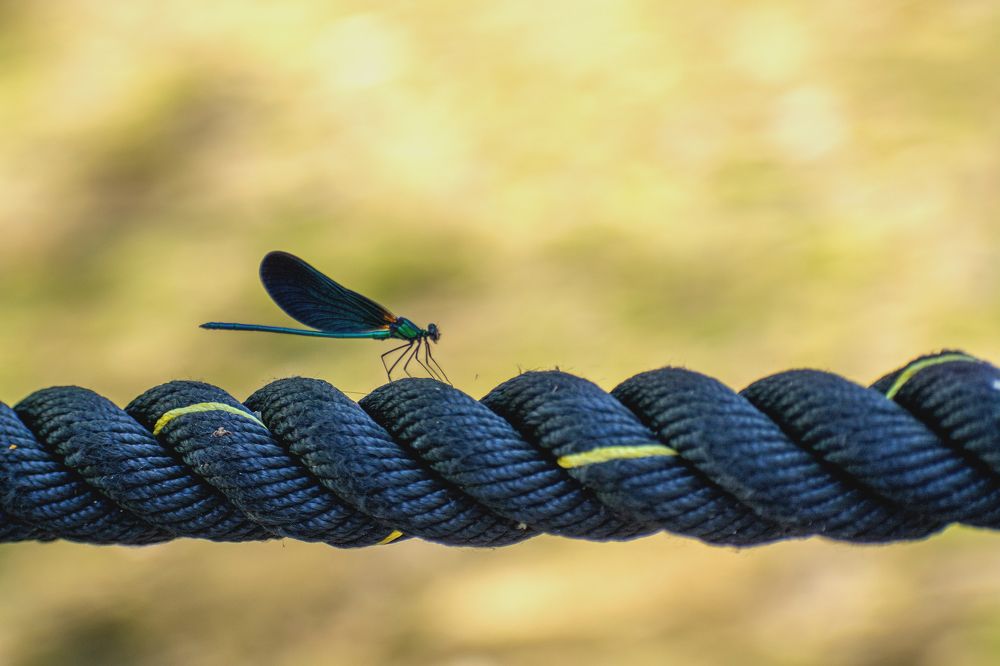 Photograph by Alexander Usenko