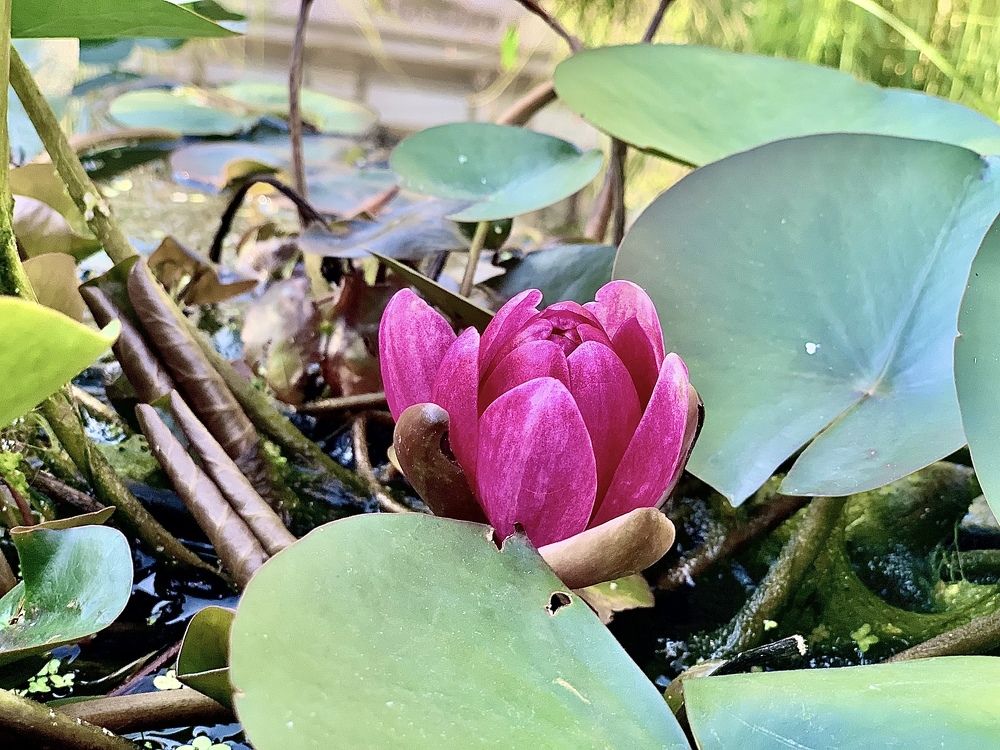 Photograph by Никита Манакин