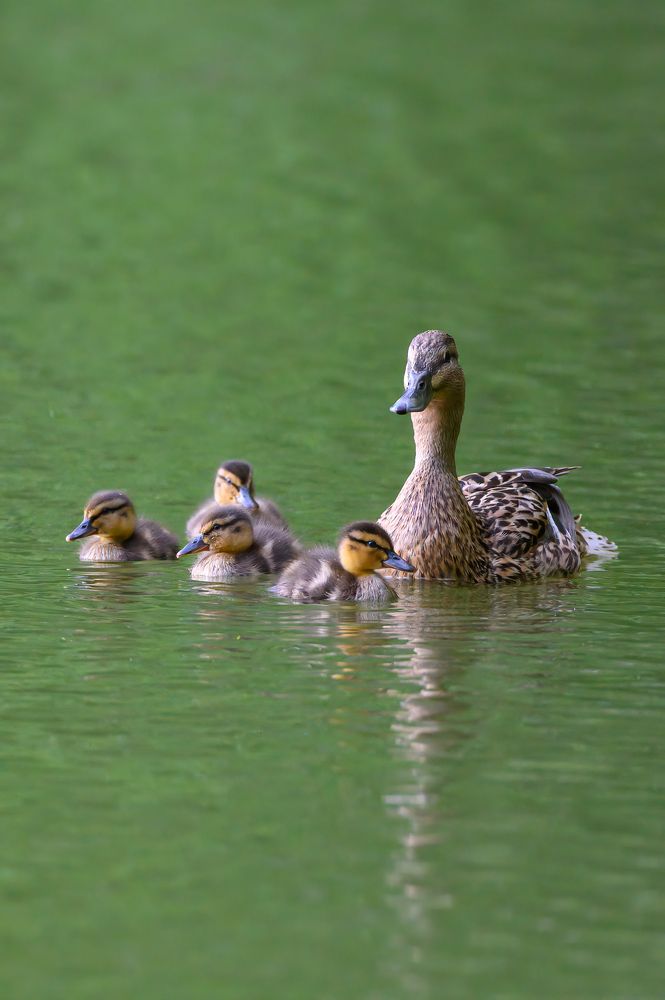 Photograph by Вячеслав Белов