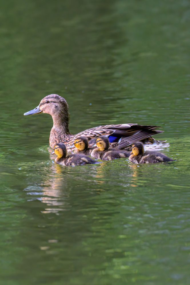 Photograph by Вячеслав Белов