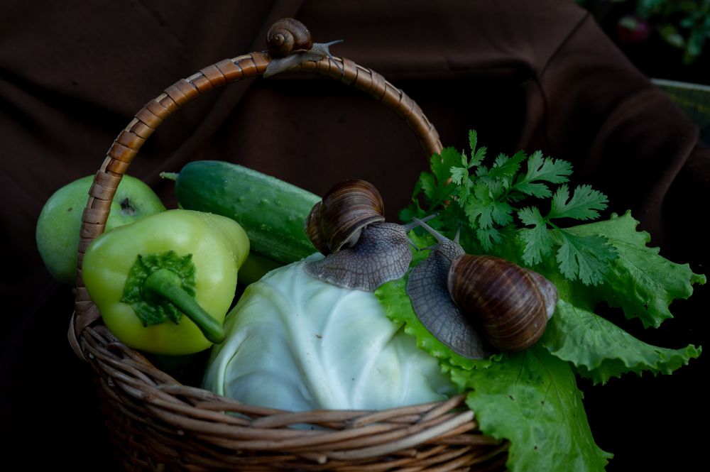 Photograph by Мария Жоголева