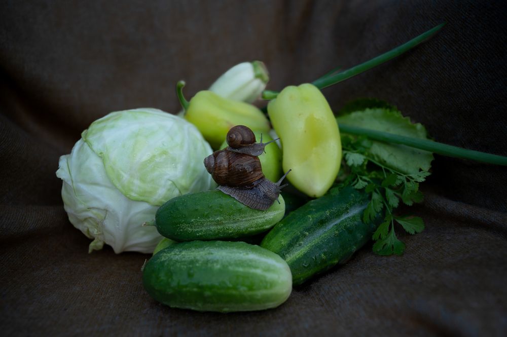 Photograph by Мария Жоголева