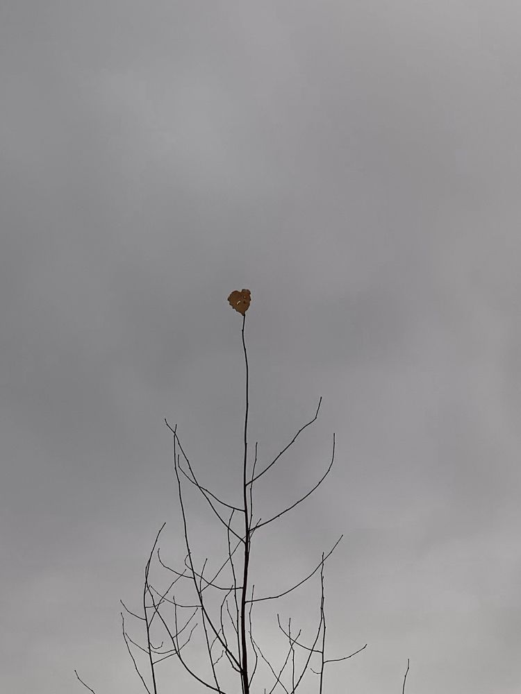 Photograph by Никита Манакин