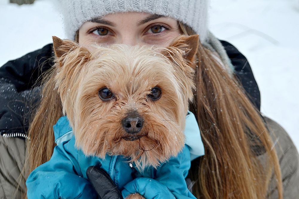 Photograph by Марина Стародуб