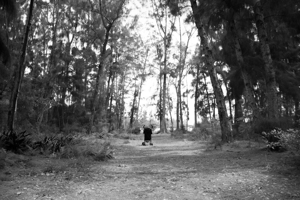 Photograph by Maikel Rodríguez