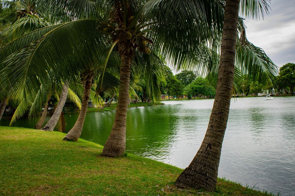 Photograph by Irina Stroh