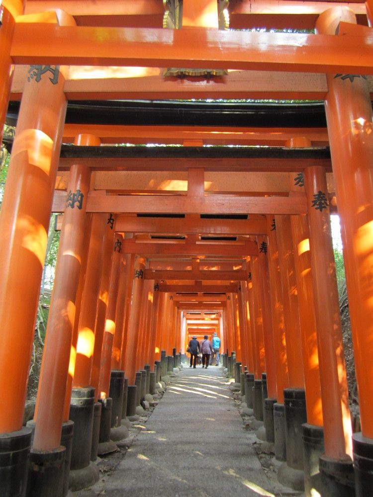 Photograph by Светлана Андреева