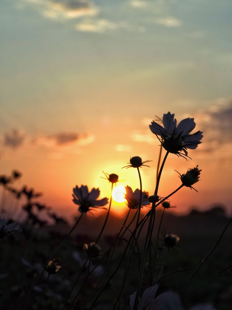 Photograph by Света Кузнецова