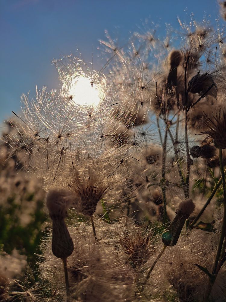 Photograph by Оксана Урбанович