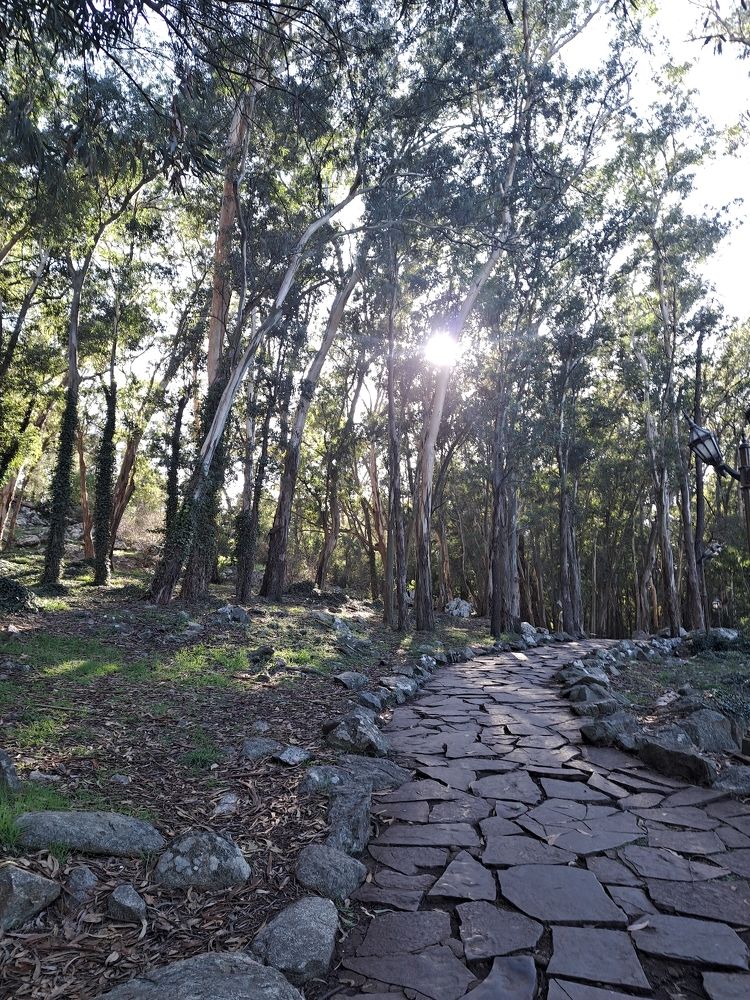 Фотография автора gustavo pecelis