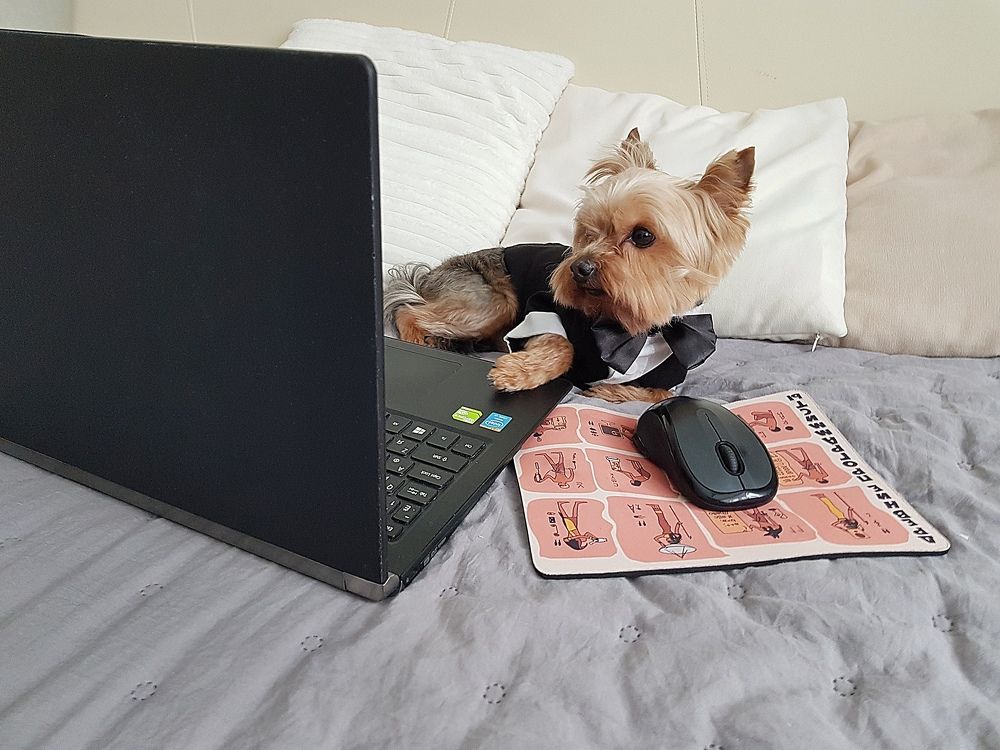 Photograph by Марина Стародуб