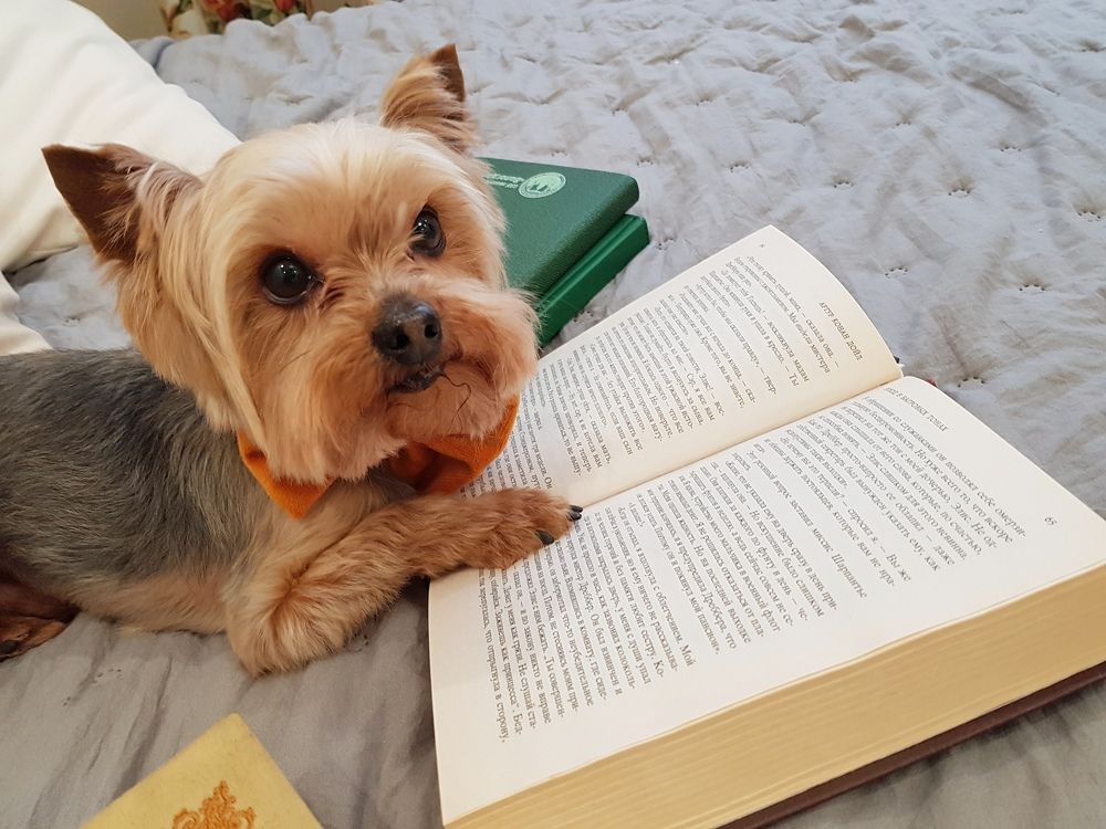 Photograph by Марина Стародуб