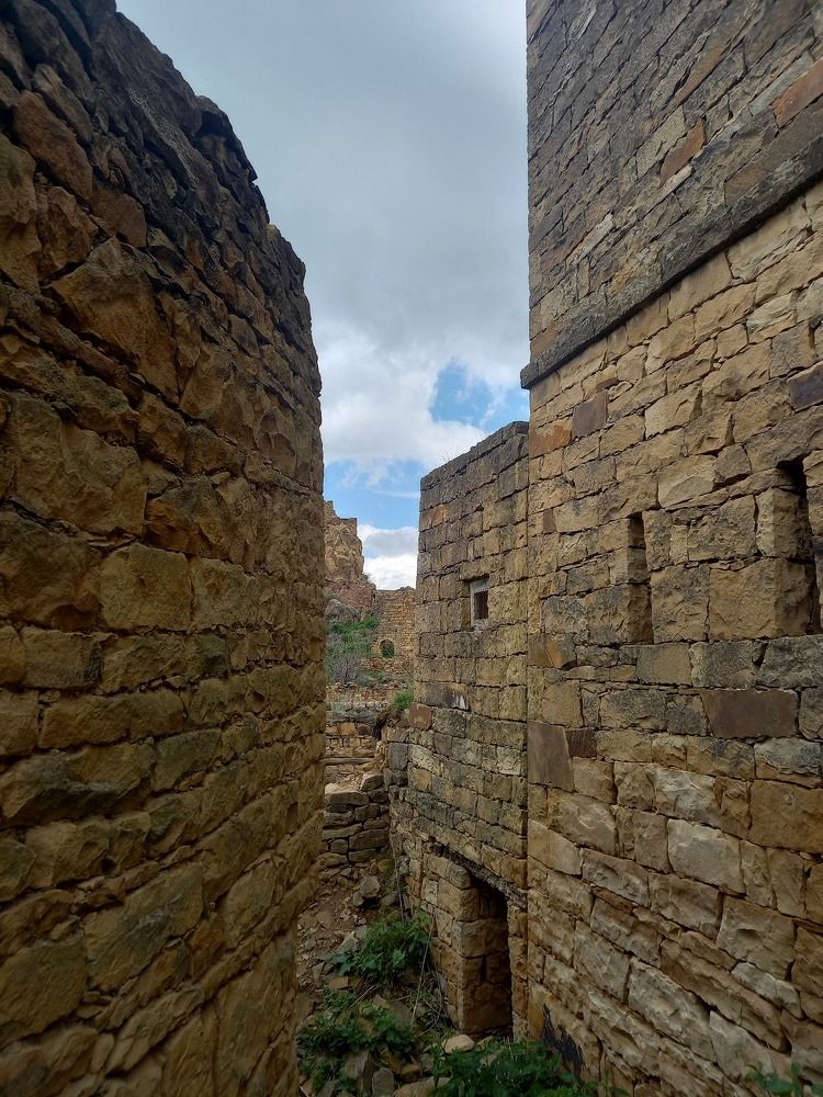 Photograph by Viktoria Vavilkina