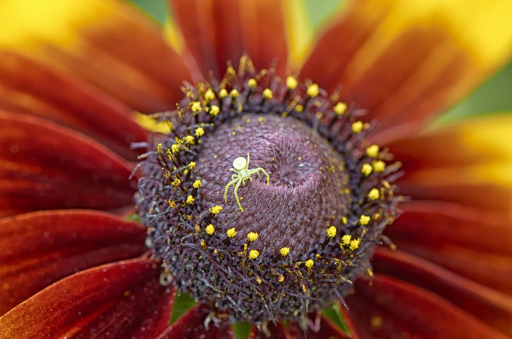 Photograph by Валерий