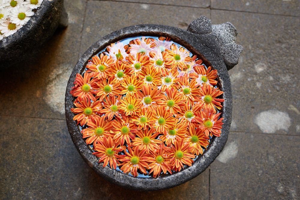 Photograph by Валерий