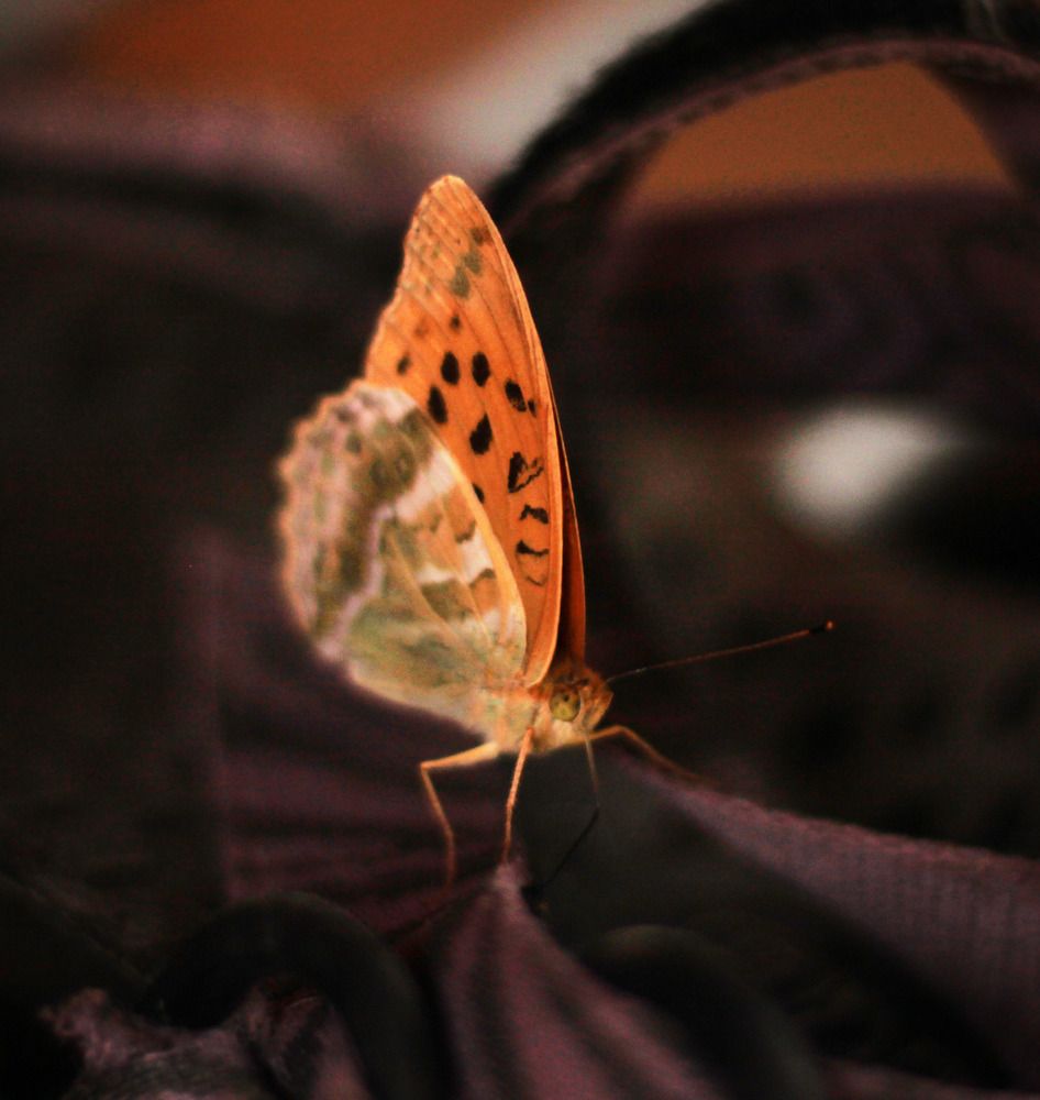 Photograph by Inna Tatarchenko