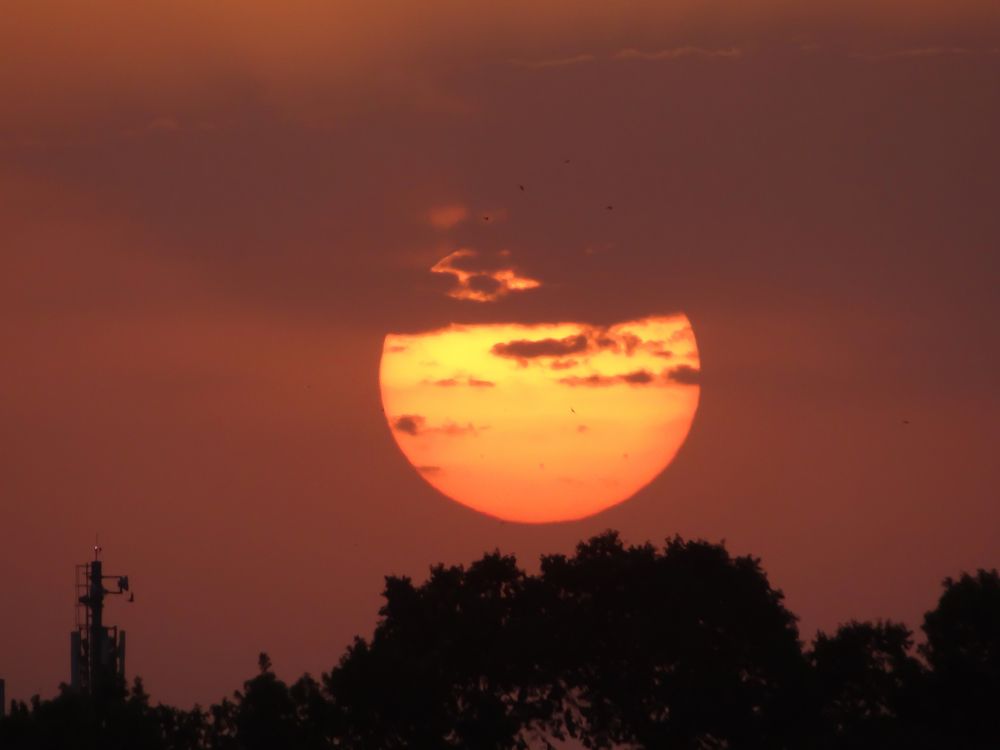 Фотография автора reza ahmadi