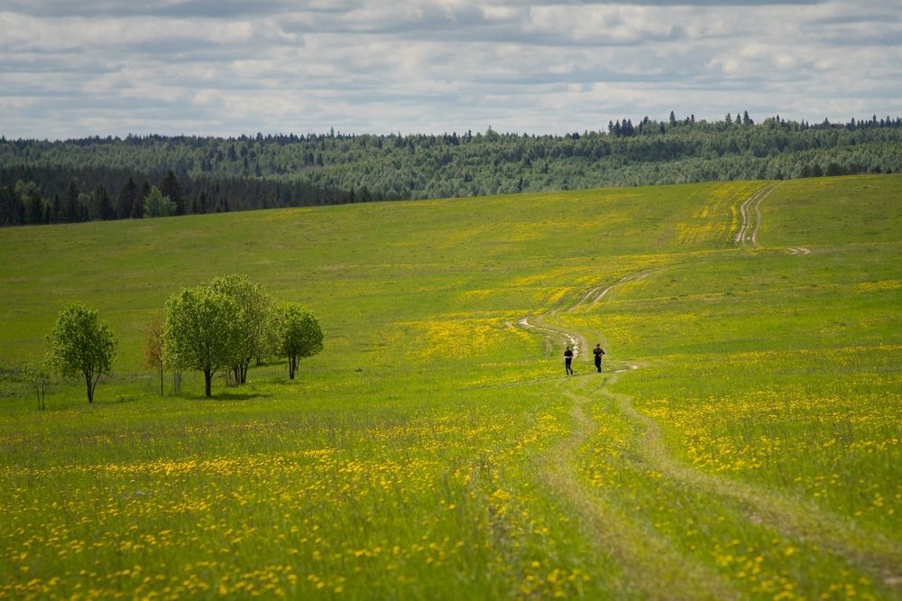 Photograph by Сергей Забиякин