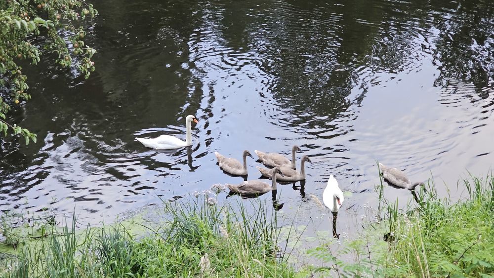 Фотография автора Александр Петуховский