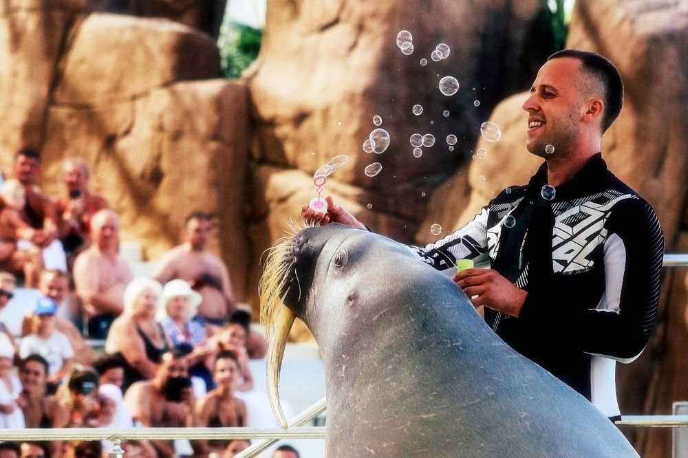 Photograph by Ali Abu Ras