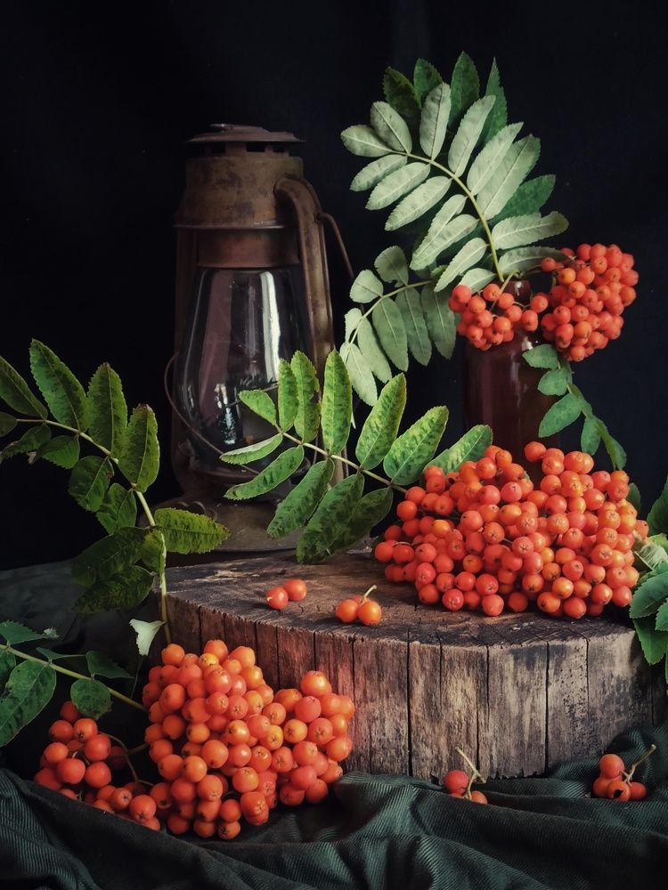 Photograph by Новикова Елена Сергеевна