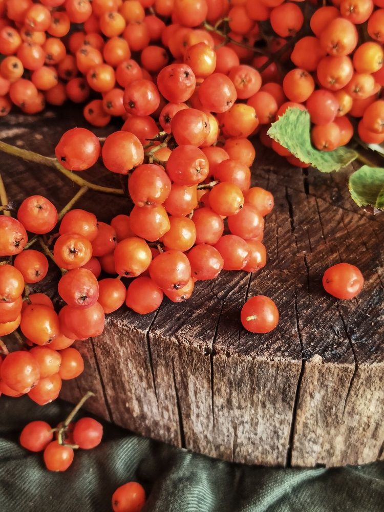 Photograph by Новикова Елена Сергеевна