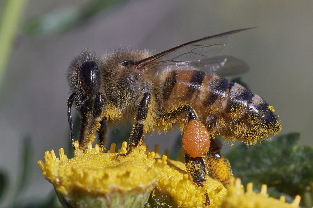 Photograph by Игорь Зиновьев