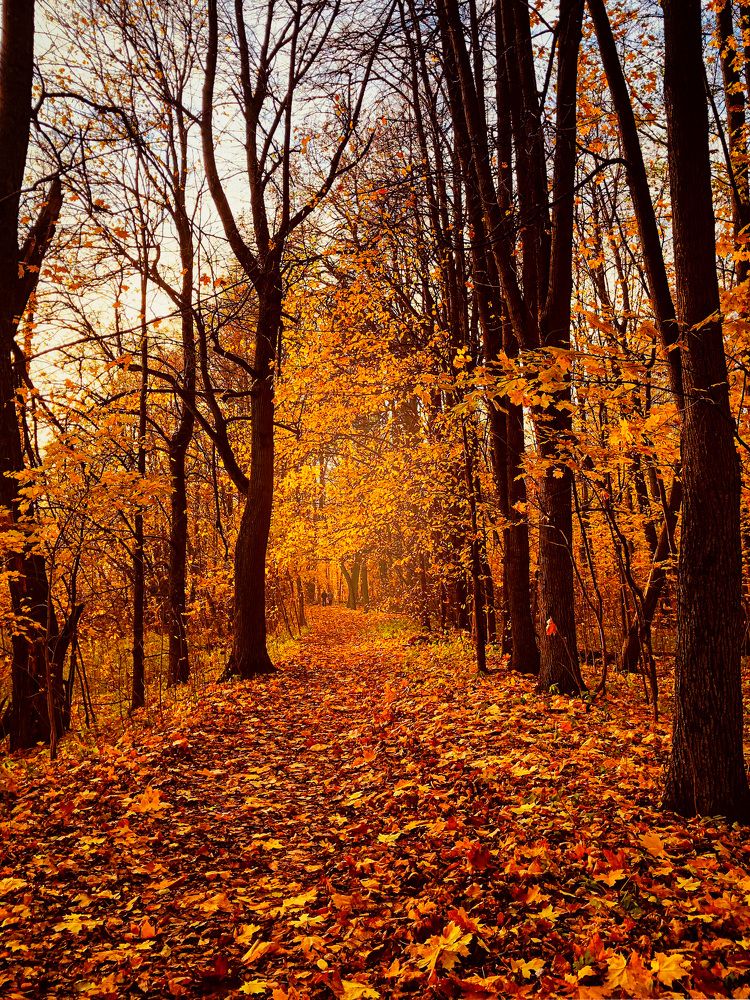 Photograph by Алена Устинович