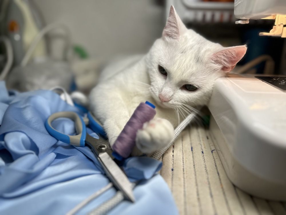 Photograph by Ольга