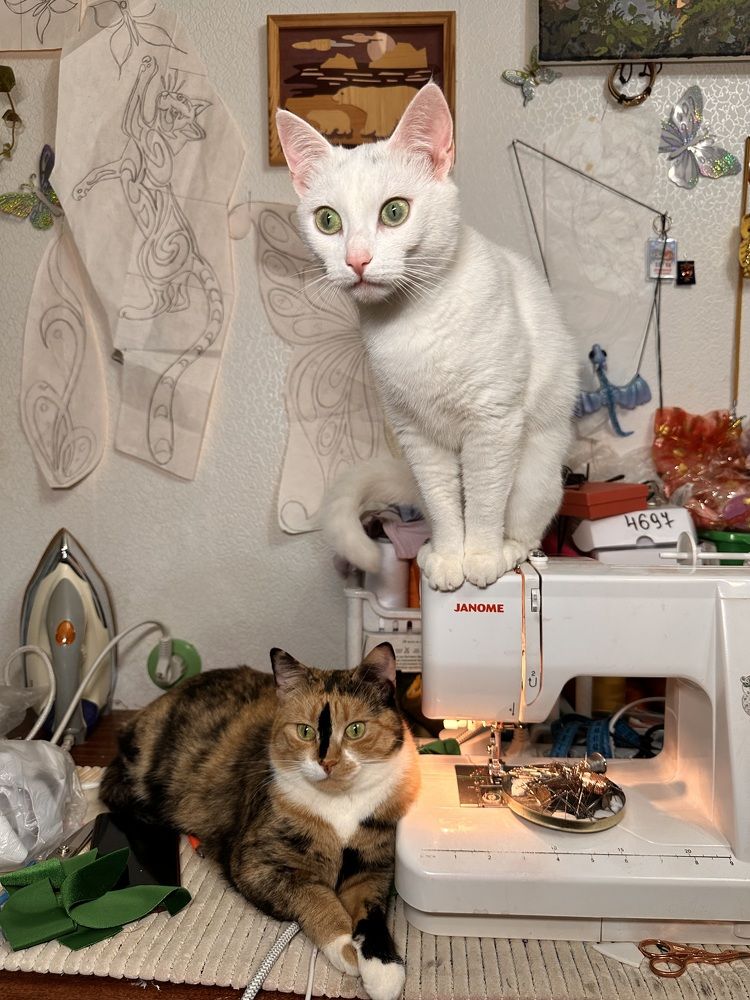 Photograph by Ольга