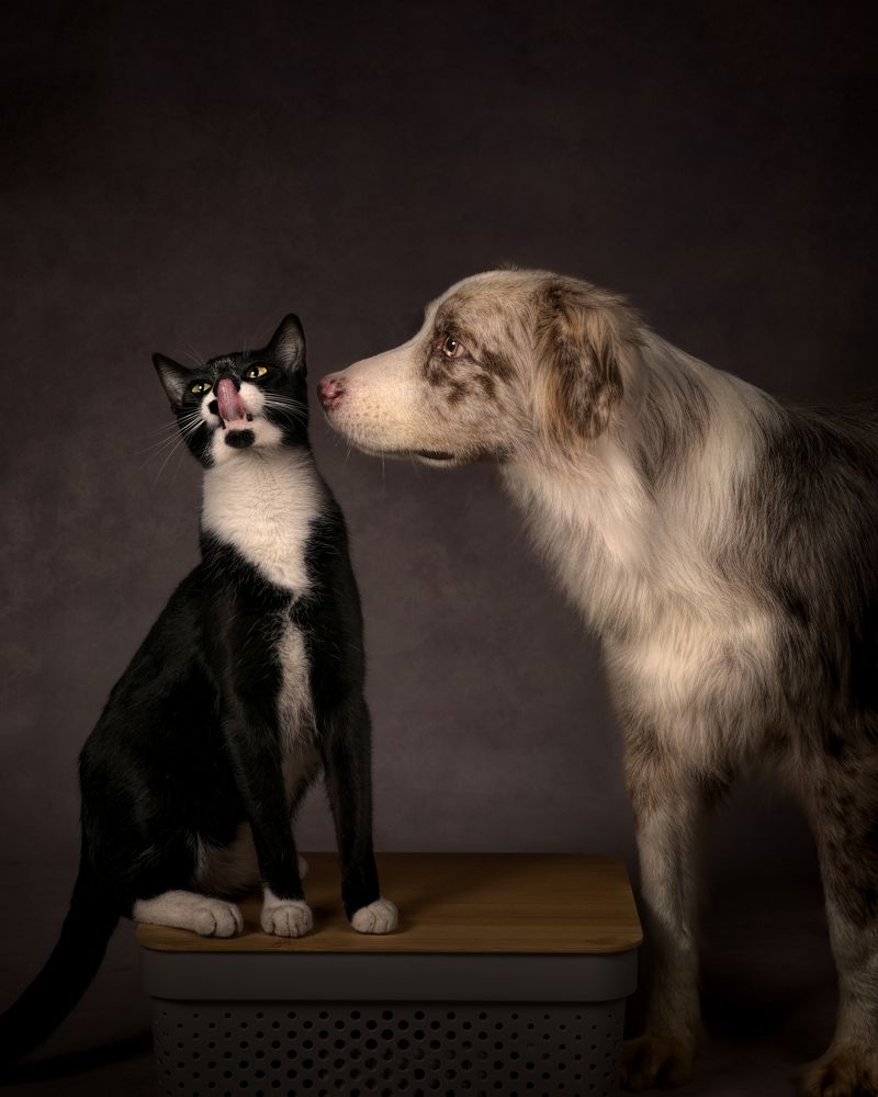 Photograph by Niko Albornoz