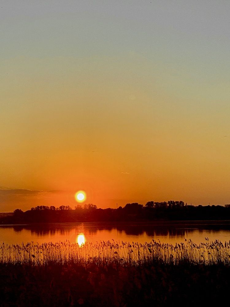 Photograph by Ольга Уласик