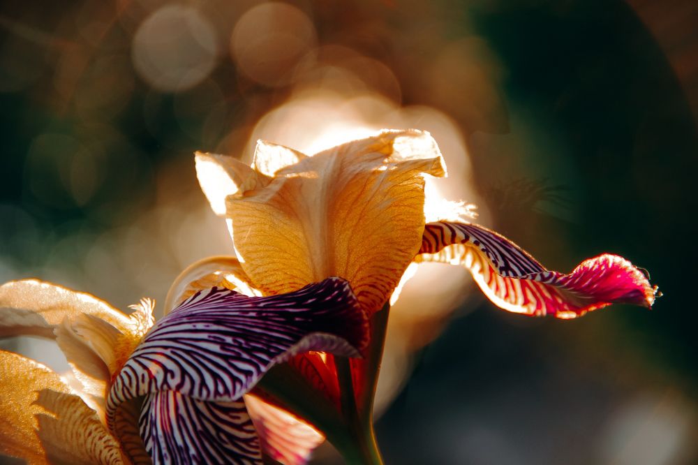 Photograph by Валерия Гуртовая