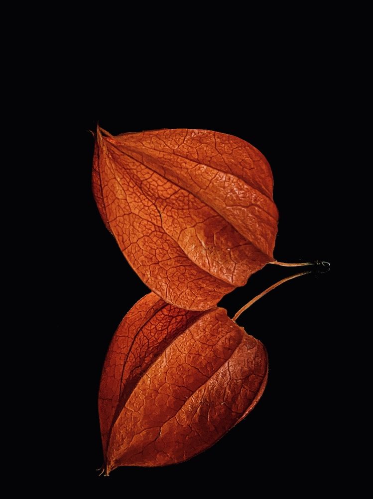 Photograph by Ольга Уласик