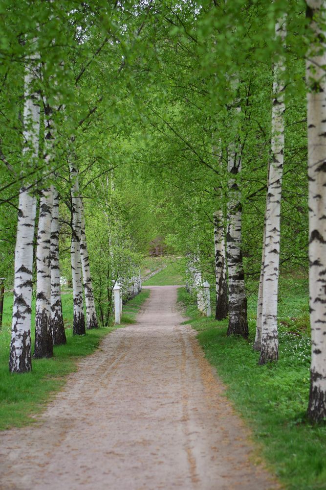 Photograph by Юлия Мулданин