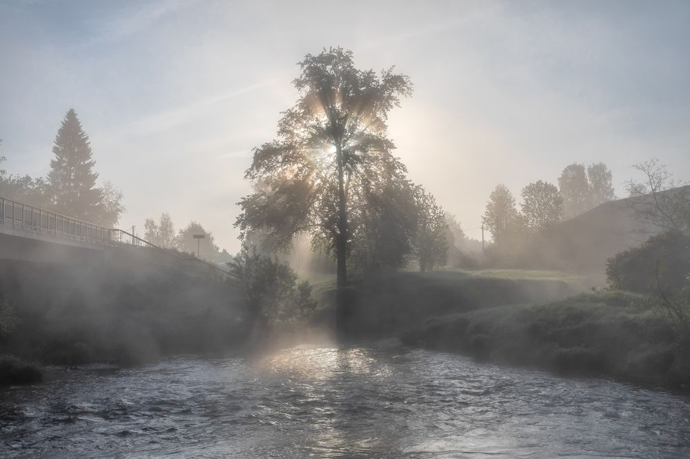 Фотография автора Александр Пашеничев