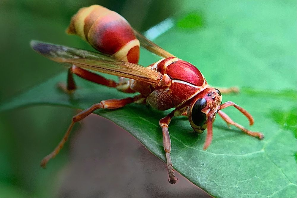 Photograph by Lesly Grace Advincula