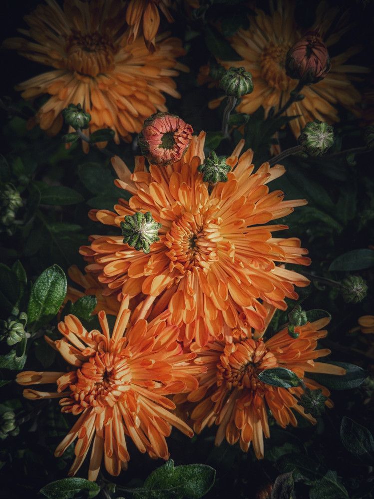 Photograph by Дарья Макаревич