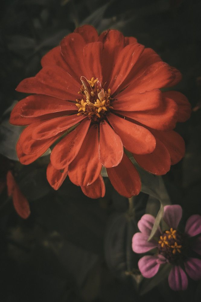 Photograph by Дарья Макаревич